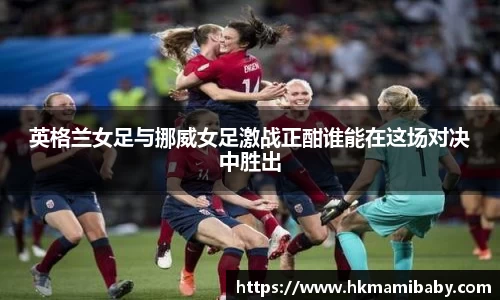 28圈体育