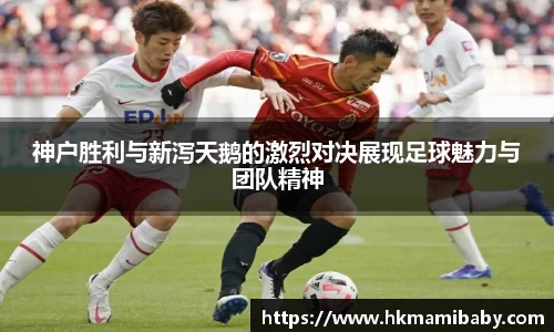 NG娱乐